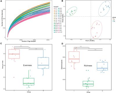 Tibetan Sheep Adapt to Plant Phenology in Alpine Meadows by Changing Rumen Microbial Community Structure and Function